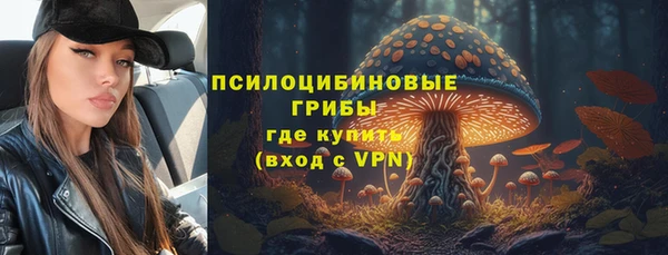 гашиш Богданович