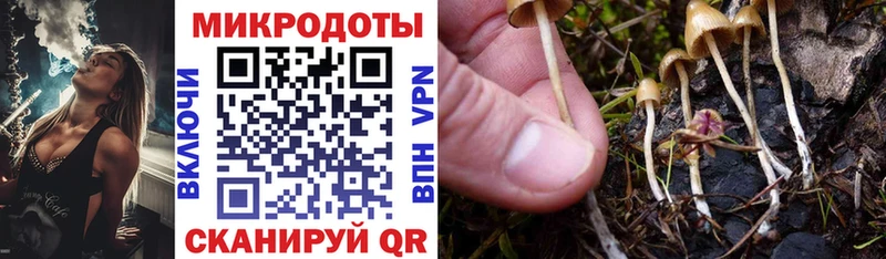 Псилоцибиновые грибы Psilocybe  мега вход  Иланский 